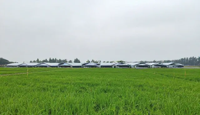 新媒体运营投放效果提升的使用与维护建议