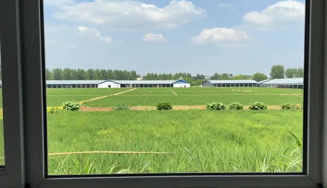 提升投放效果的关键要素与适用场景分析